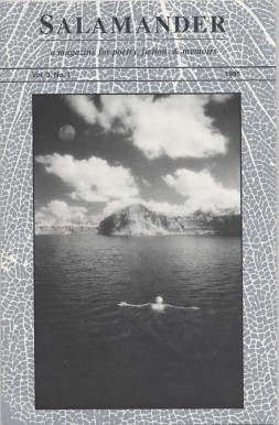 Issue 3.1
