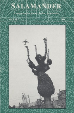 Issue 3.2